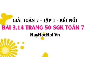Giải bài 3.14 trang 50 Toán 7 Tập 1 SGK Kết nối tri thức